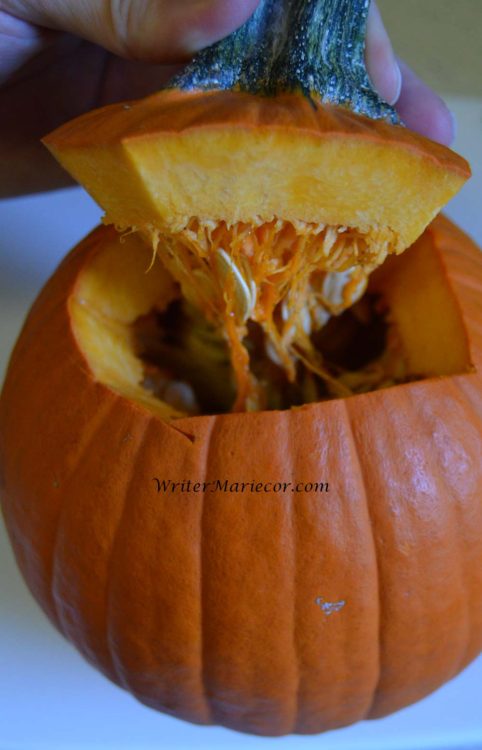 Pumpkin Top with Seeds | WriterMariecor.com