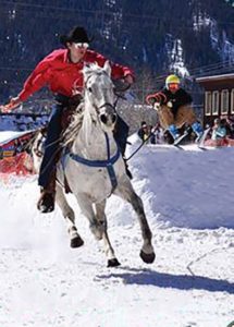 Skijoring Team with Cowboy pulling Skier | Writer Mariecor | WriterMariecor.com