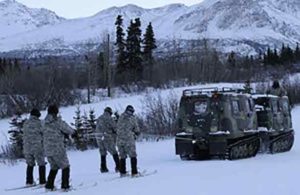 Military Arctic Training with Skijoring | Writer Mariecor | WriterMariecor.com