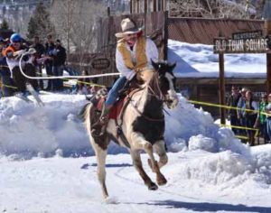 Skijoring Team with Cowboy pulling Skier | Writer Mariecor | WriterMariecor.com